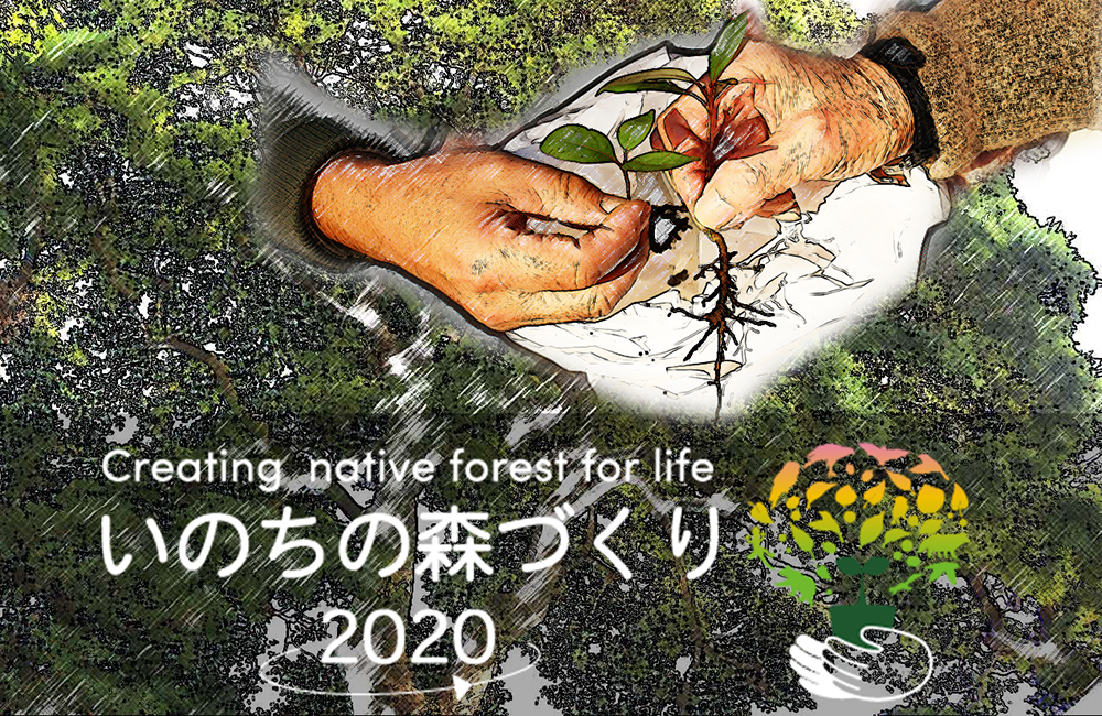 いのちの森づくり2020↗未来へ | 環境省「つなげよう、支えよう