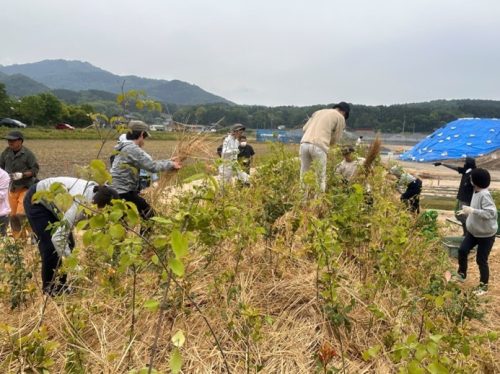 2023年5月山田養蜂場植樹祭 2